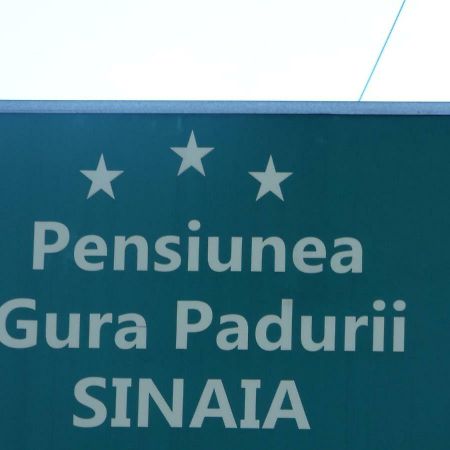 ホテル Gura Padurii シナヤ エクステリア 写真